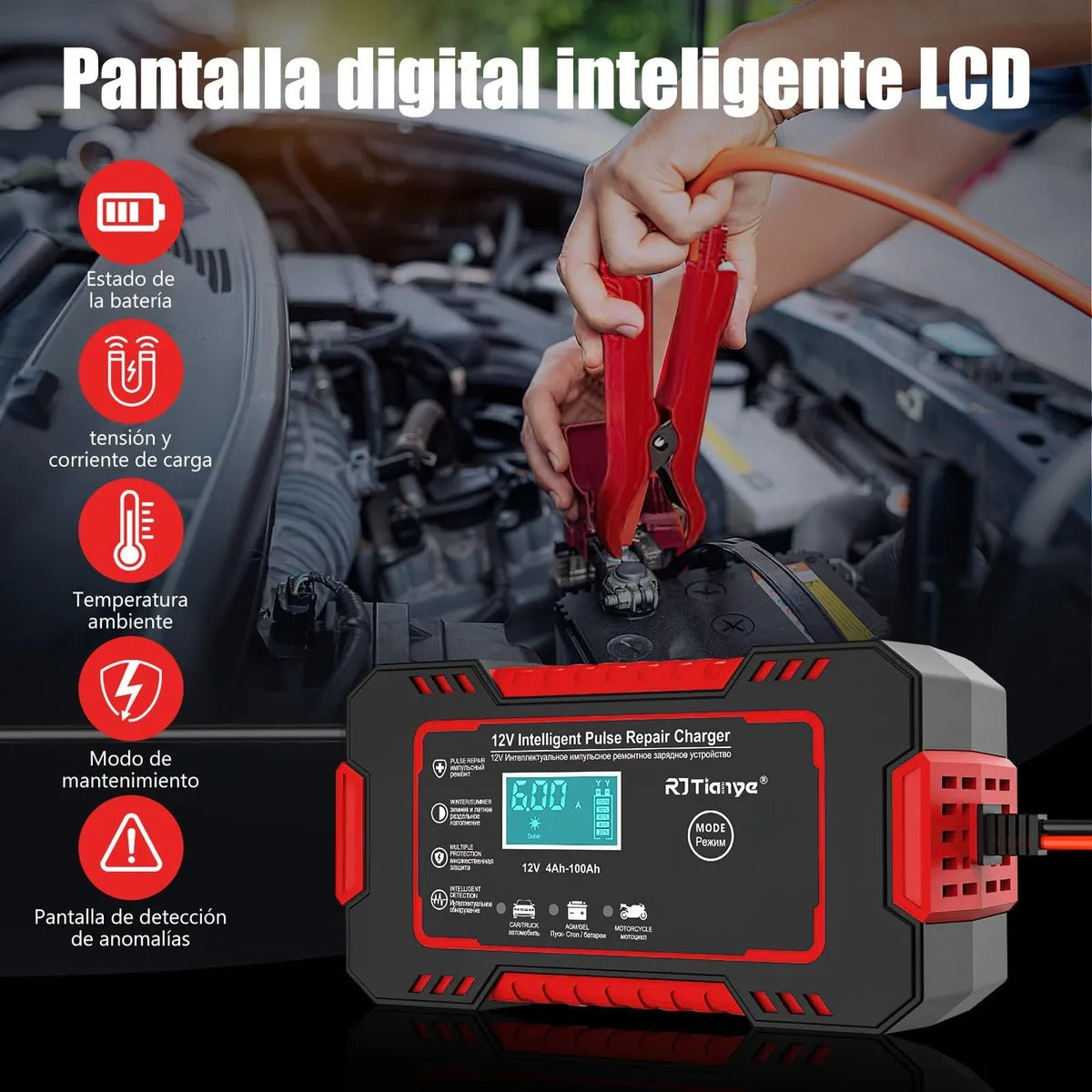 Cargador de Baterías Portátil 12V